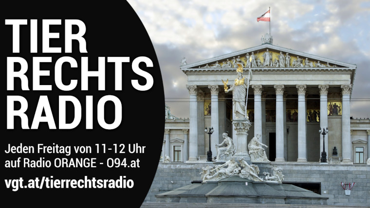 Bild zu dieser Radiosendung