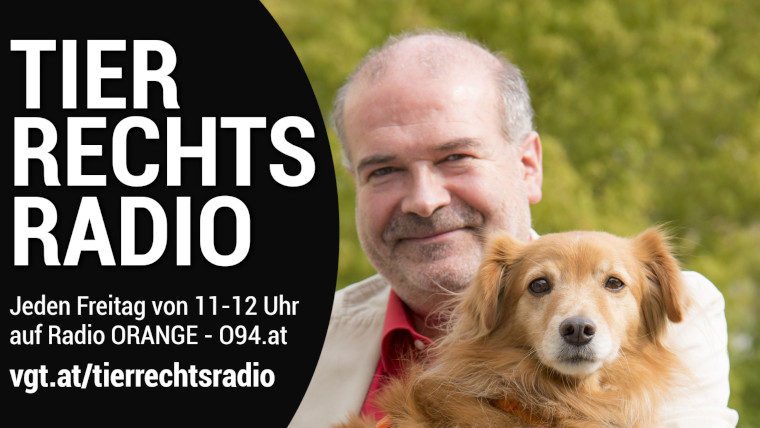 Bild zu dieser Radiosendung