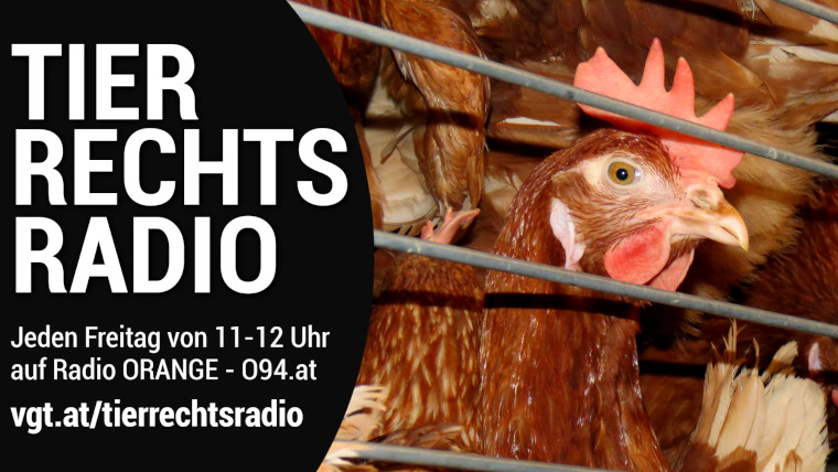 Bild zu dieser Radiosendung