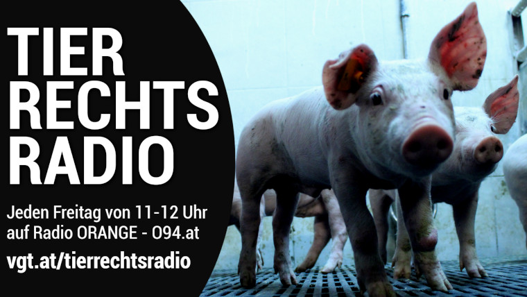 Bild zu dieser Radiosendung