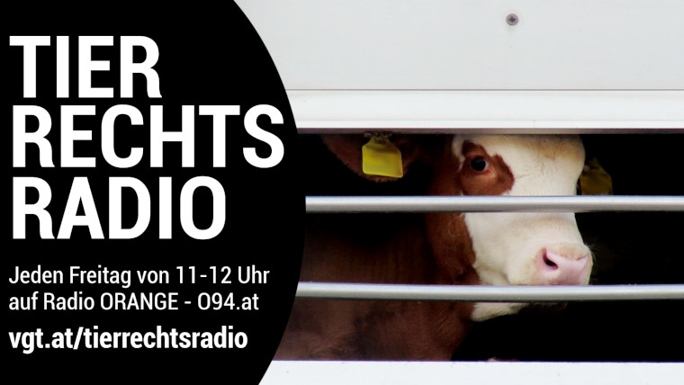 Bild zu dieser Radiosendung