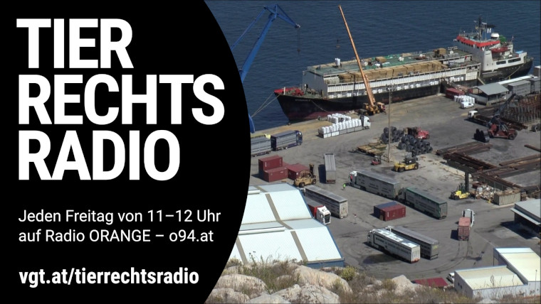 Bild zu dieser Radiosendung