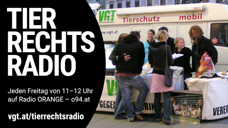 Bild zu dieser Radiosendung