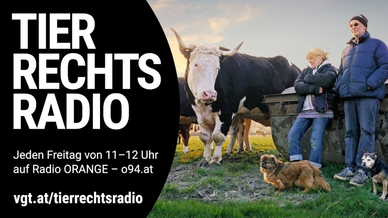 Bild zu dieser Radiosendung