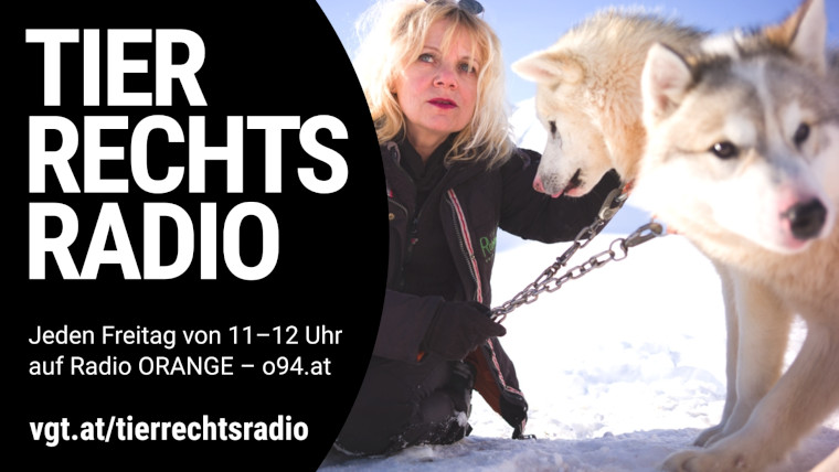 Bild zu dieser Radiosendung