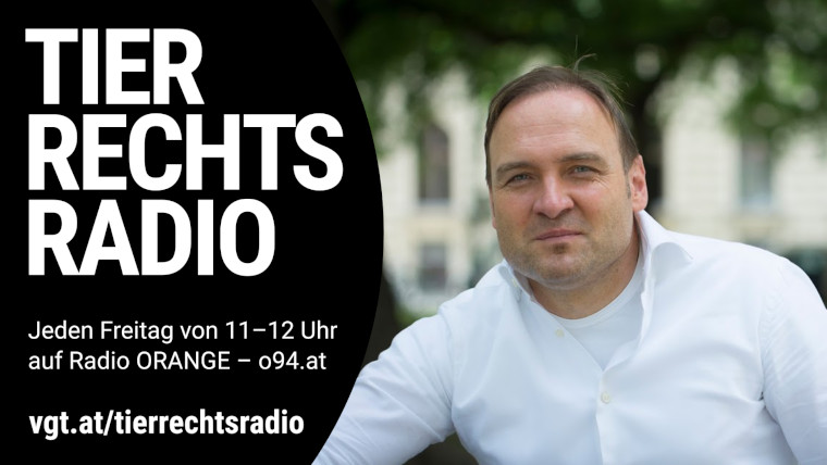 Bild zu dieser Radiosendung