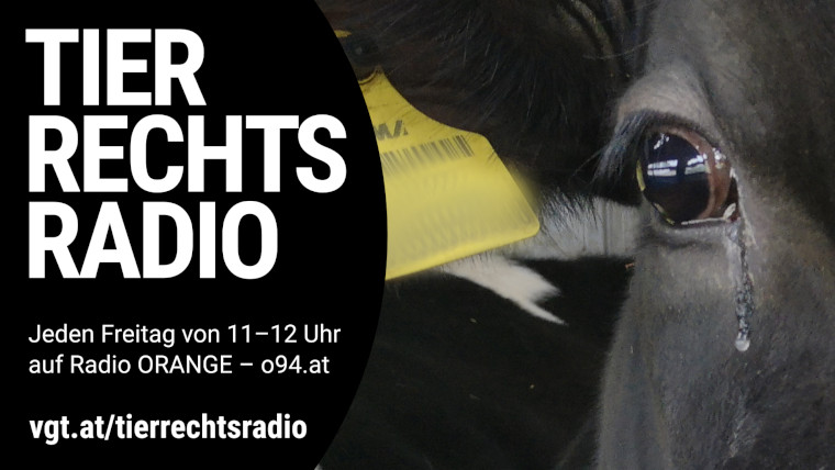 Bild zu dieser Radiosendung