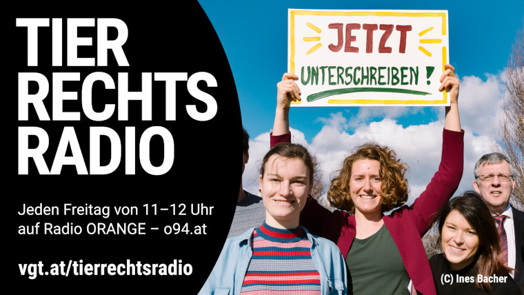 Bild zu dieser Radiosendung