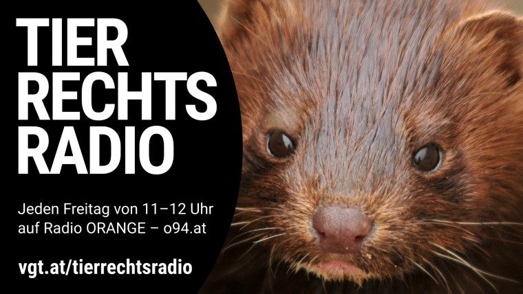 Bild zu dieser Radiosendung
