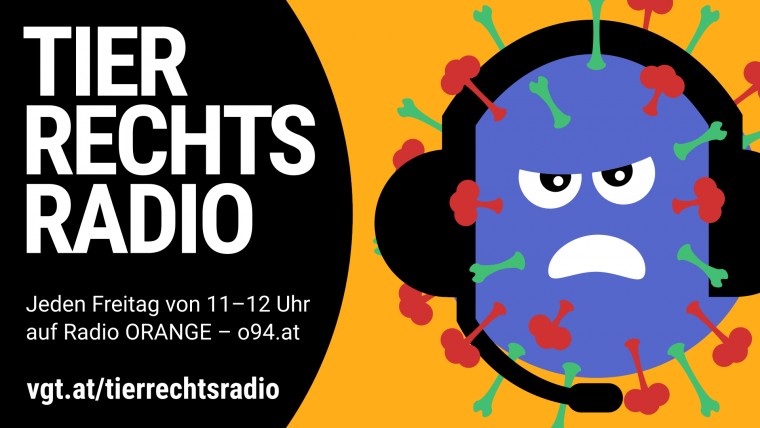 Bild zu dieser Radiosendung