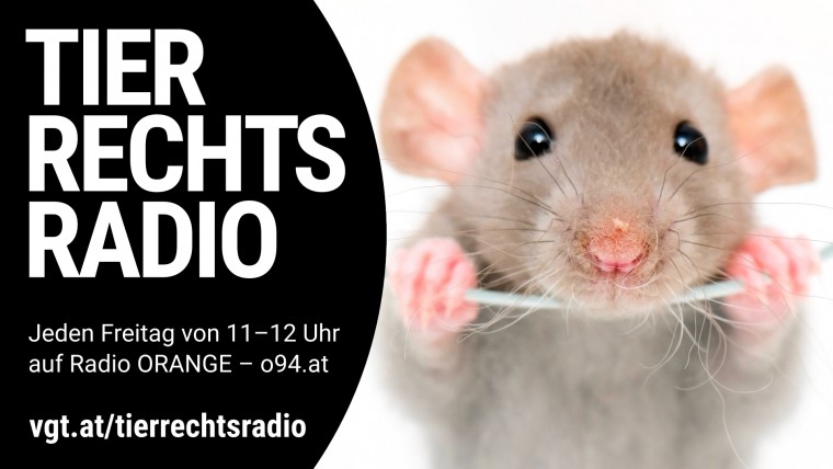 Bild zu dieser Radiosendung