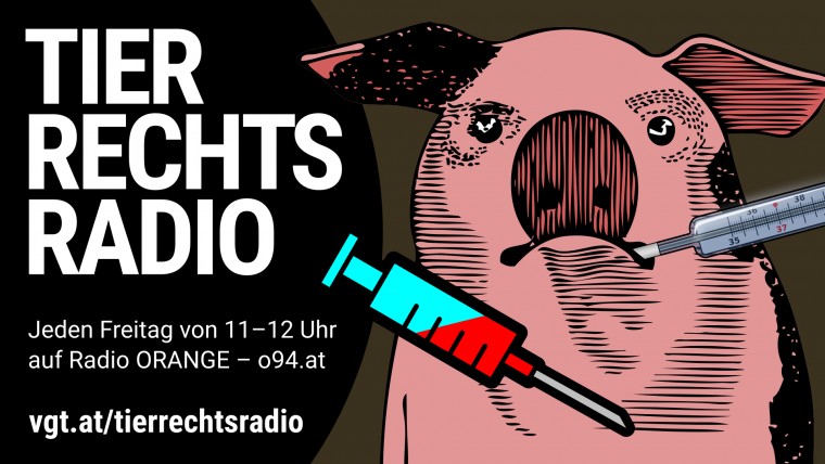 Bild zu dieser Radiosendung