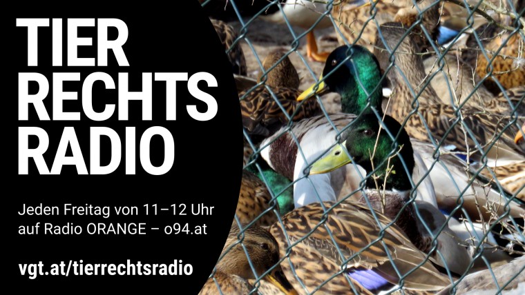 Bild zu dieser Radiosendung