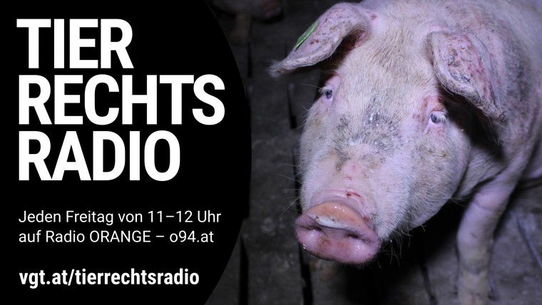 Bild zu dieser Radiosendung