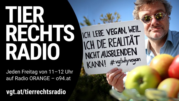 Bild zu dieser Radiosendung