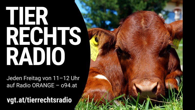 Bild zu dieser Radiosendung