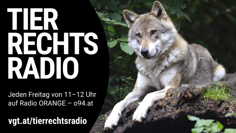 Bild zu dieser Radiosendung