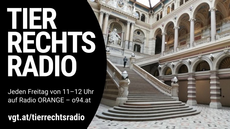 Bild zu dieser Radiosendung