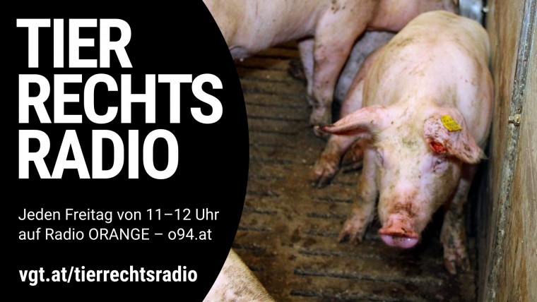 Bild zu dieser Radiosendung