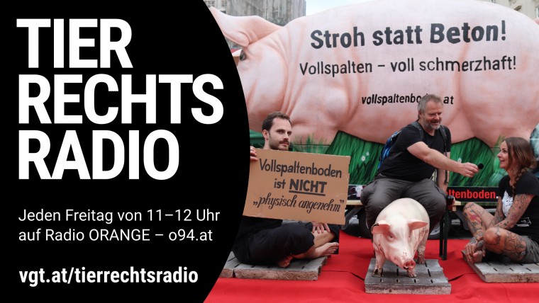 Bild zu dieser Radiosendung
