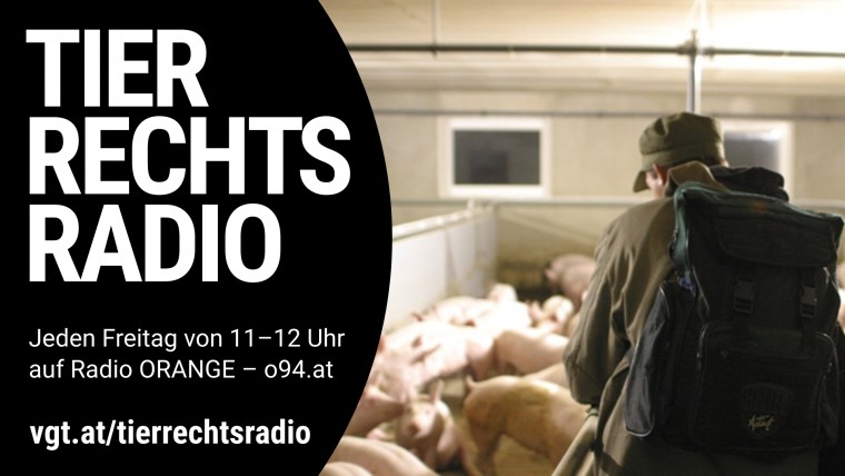 Bild zu dieser Radiosendung
