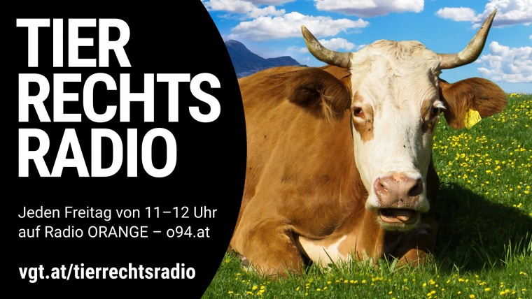 Bild zu dieser Radiosendung
