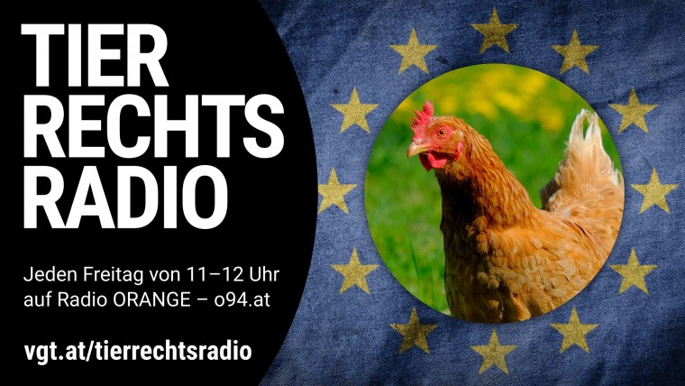 Bild zu dieser Radiosendung