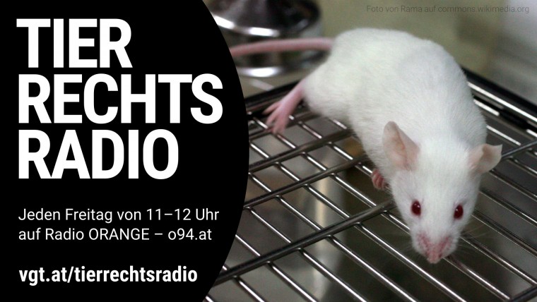 Bild zu dieser Radiosendung