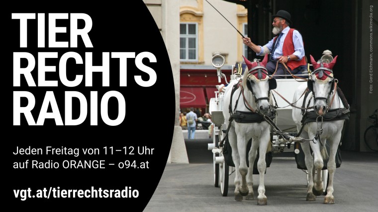 Bild zu dieser Radiosendung
