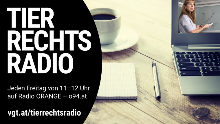 Bild zu dieser Radiosendung