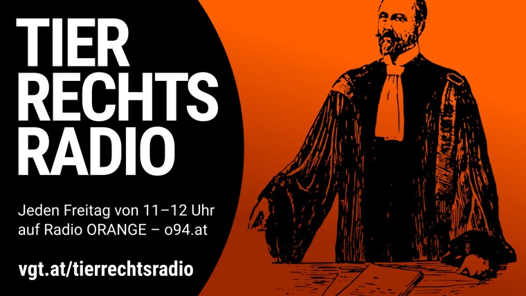 Bild zu dieser Radiosendung