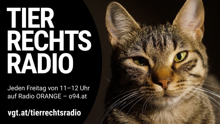 Bild zu dieser Radiosendung