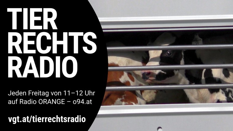 Bild zu dieser Radiosendung