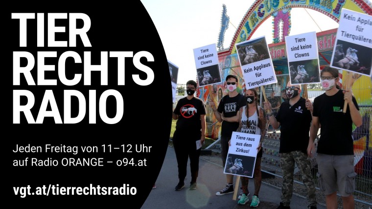 Bild zu dieser Radiosendung