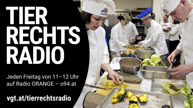 Bild zu dieser Radiosendung