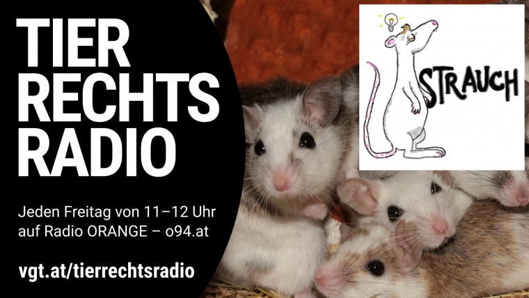 Bild zu dieser Radiosendung