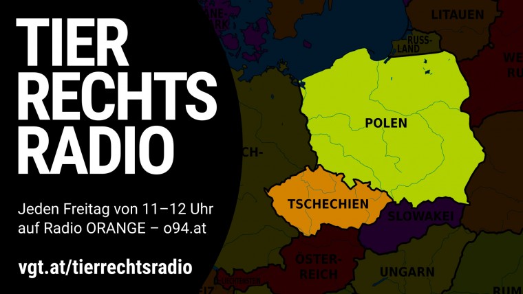 Bild zu dieser Radiosendung