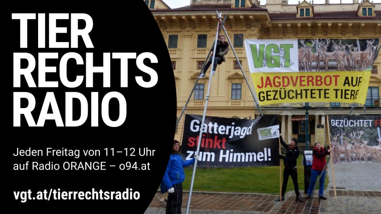 Bild zu dieser Radiosendung