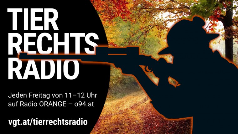 Bild zu dieser Radiosendung