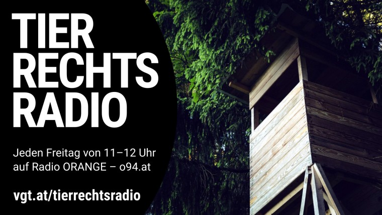 Bild zu dieser Radiosendung