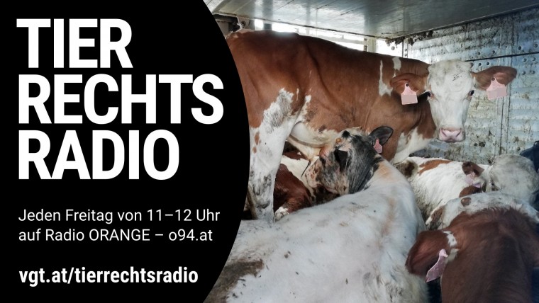 Bild zu dieser Radiosendung