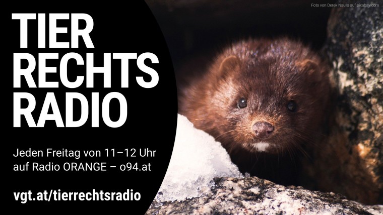 Bild zu dieser Radiosendung