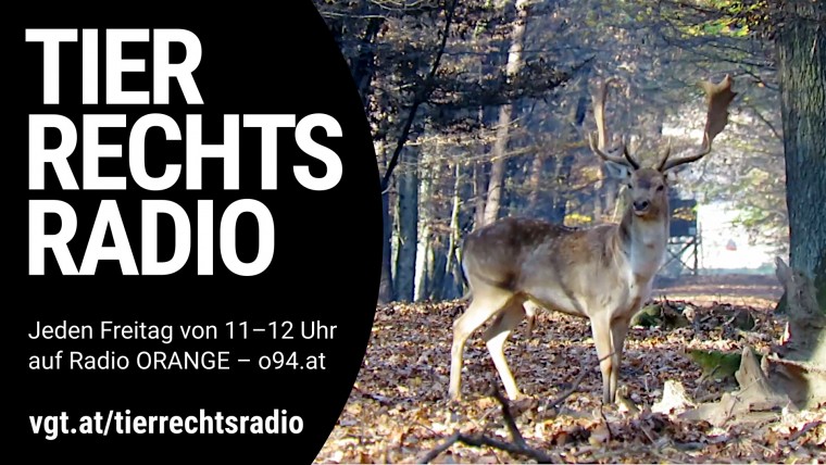 Bild zu dieser Radiosendung
