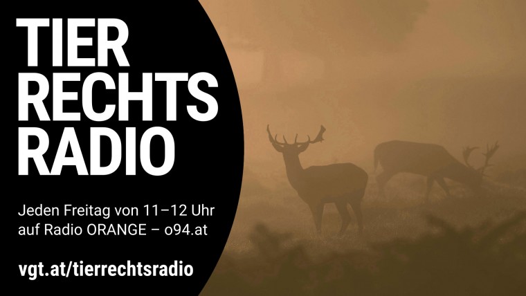 Bild zu dieser Radiosendung