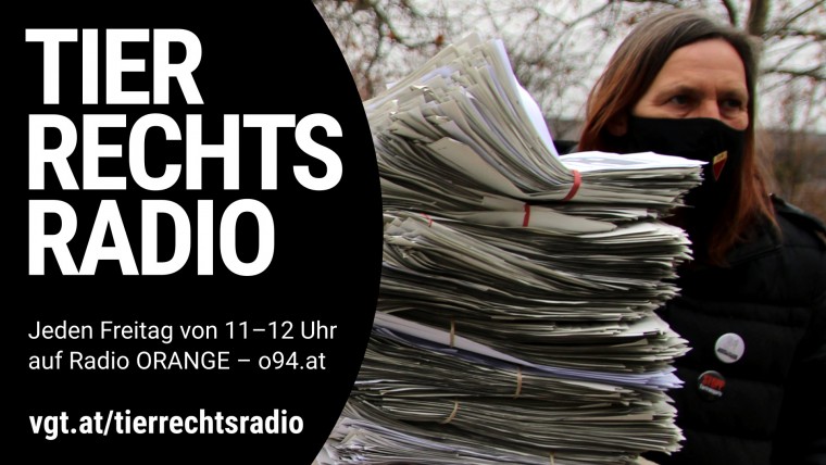 Bild zu dieser Radiosendung