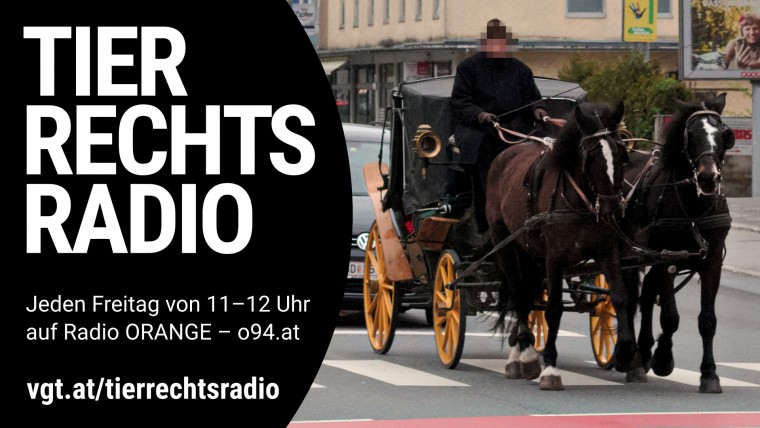 Bild zu dieser Radiosendung