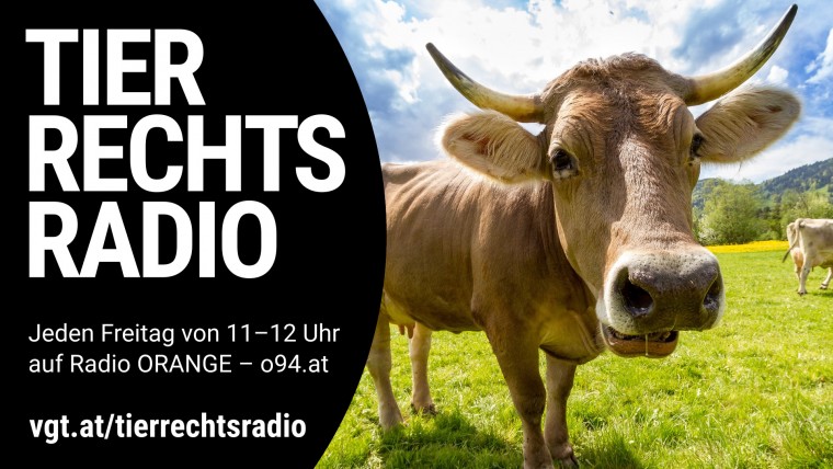 Bild zu dieser Radiosendung