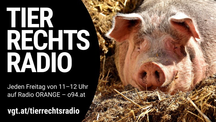 Bild zu dieser Radiosendung