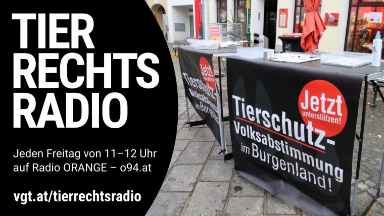 Bild zu dieser Radiosendung