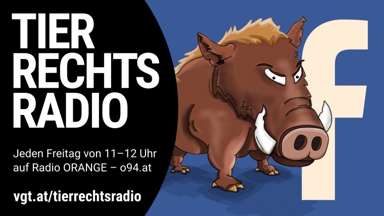 Bild zu dieser Radiosendung